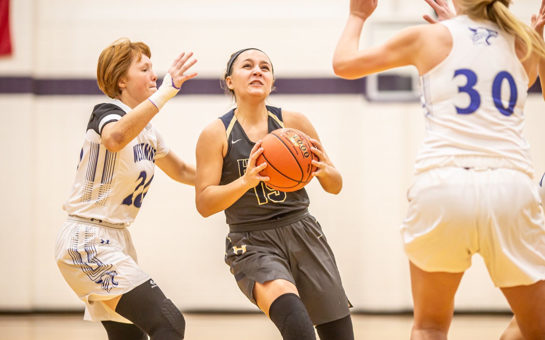 Westminster 48, Holt 42